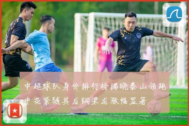 中超球队身价排行榜揭晓泰山领跑申花紧随其后铜梁龙涨幅显著