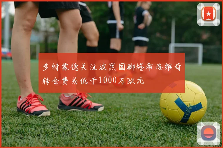 多特蒙德关注波黑国脚塔希洛维奇转会费或低于1000万欧元